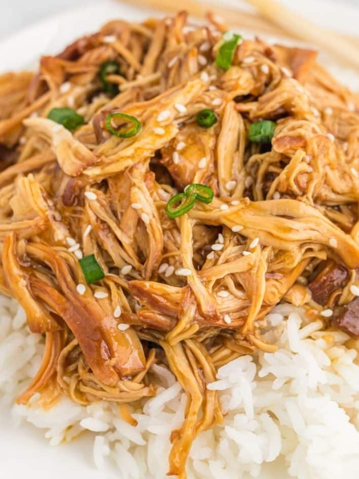 SLOW COOKER HONEY TERIYAKI CHICKEN The Kind Of Cook Recipe