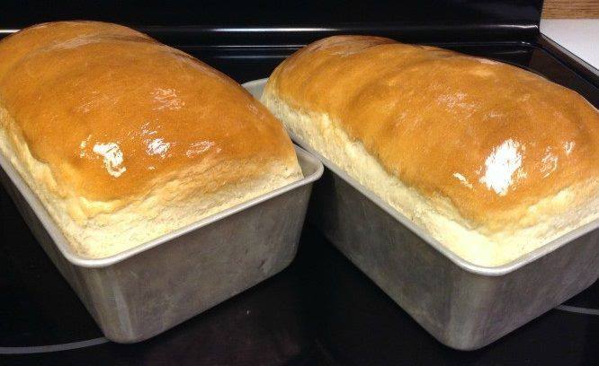 Amish White Bread 1