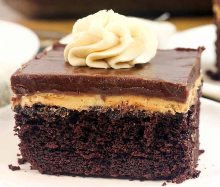 Texas Chocolate Peanut Butter Cake Recipe