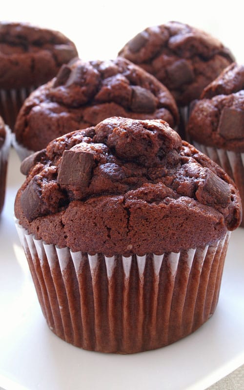 Chocolate Chocolate Chunk Muffin