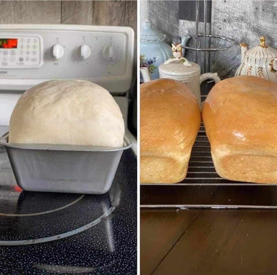 Basic Homemade Bread 1