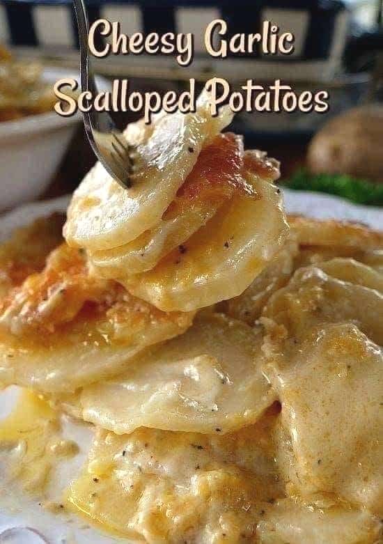 Scalloped potatoes