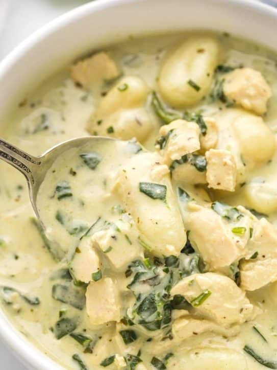 Quick And Easy Chicken Gnocchi Soup The Kind Of Cook Recipe 