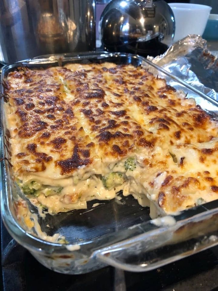 Chicken and Broccoli Lasagna Recipe￼ 1