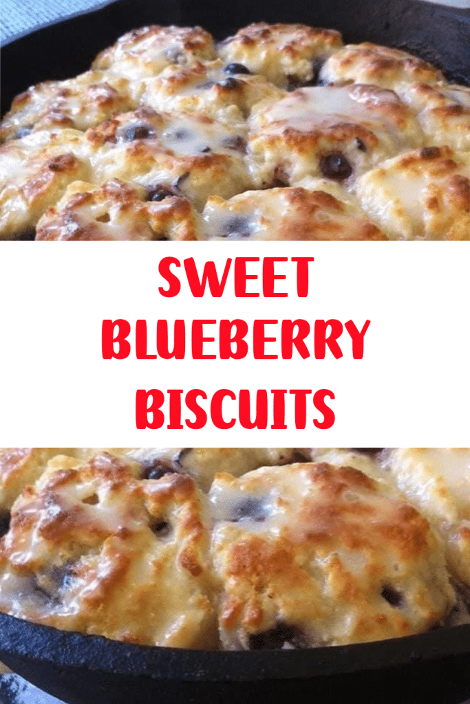 SWEET BLUEBERRY BISCUITS 2