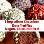 3-Ingredient Chocolate Date Truffles {vegan, paleo, nut-free} 2