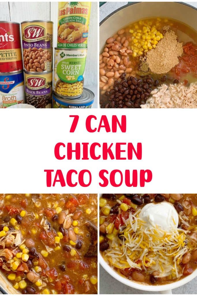 7 CAN CHICKEN TACO SOUP 3