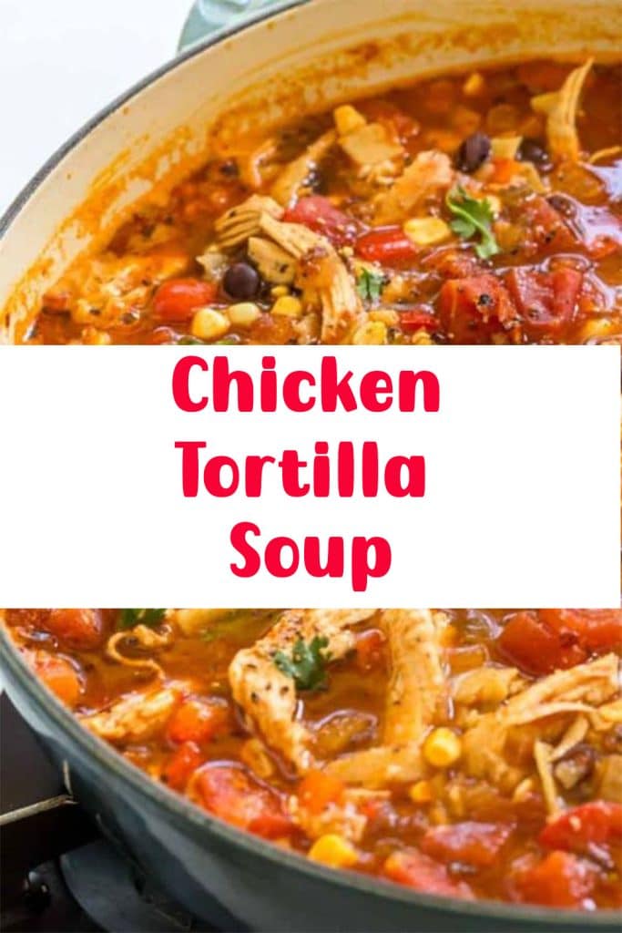 Chicken Tortilla Soup 3