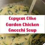 Copycat Olive Garden Chicken Gnocchi Soup 2