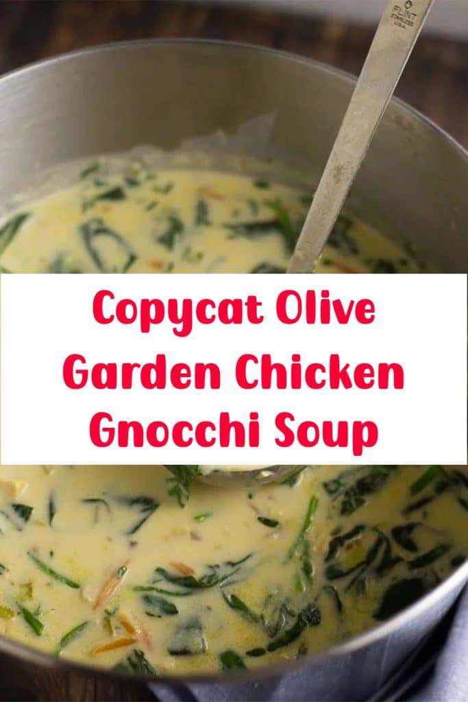 Copycat Olive Garden Chicken Gnocchi Soup 2