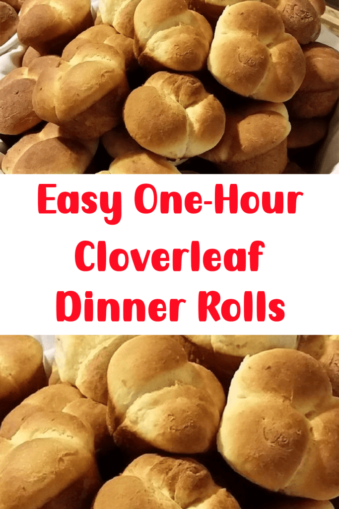 Easy One-Hour Cloverleaf Dinner Rolls 2