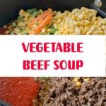 VEGETABLE BEEF SOUP 2