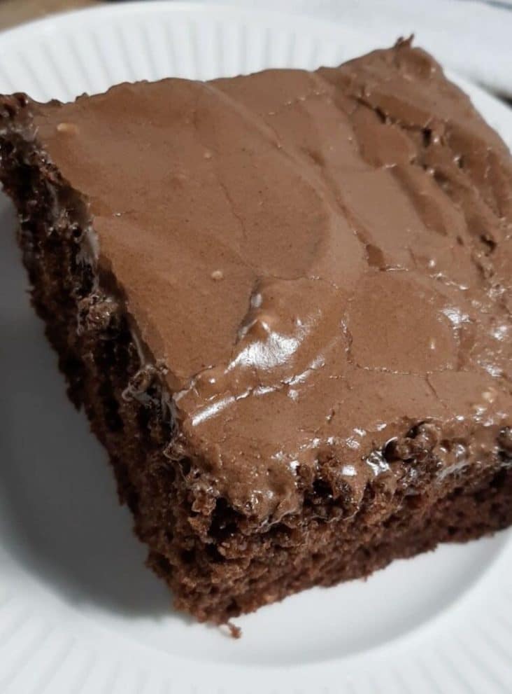 Chocolate Depression Cake 1