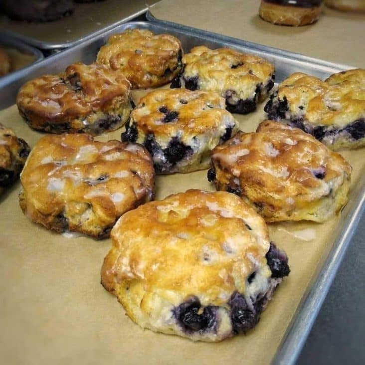 Sweet Blueberry Biscuits 1
